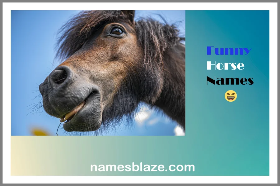 Funny Horse Names