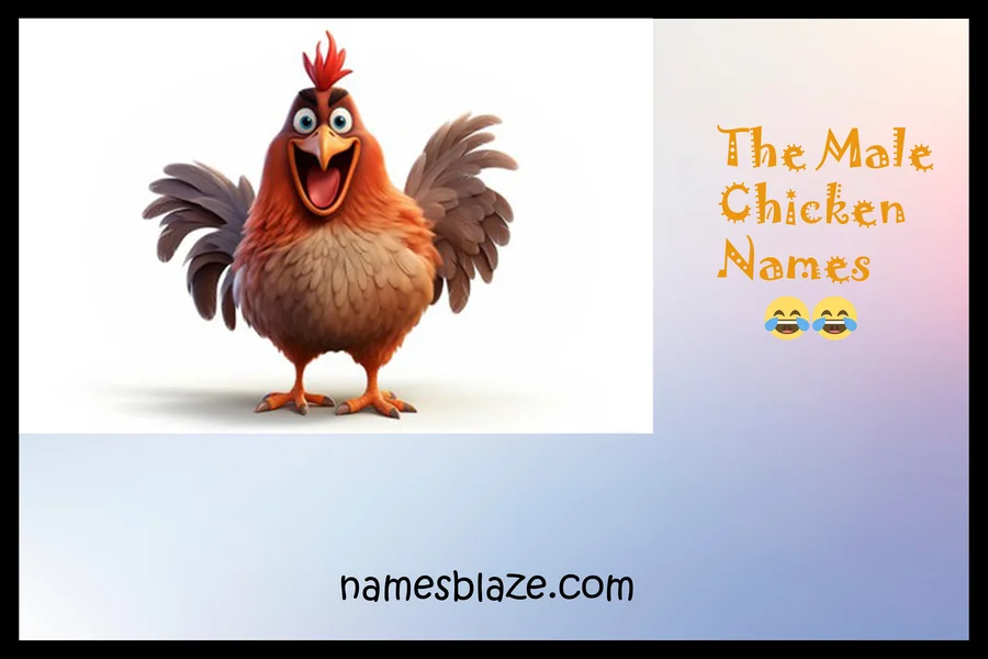 The Male Chicken Names