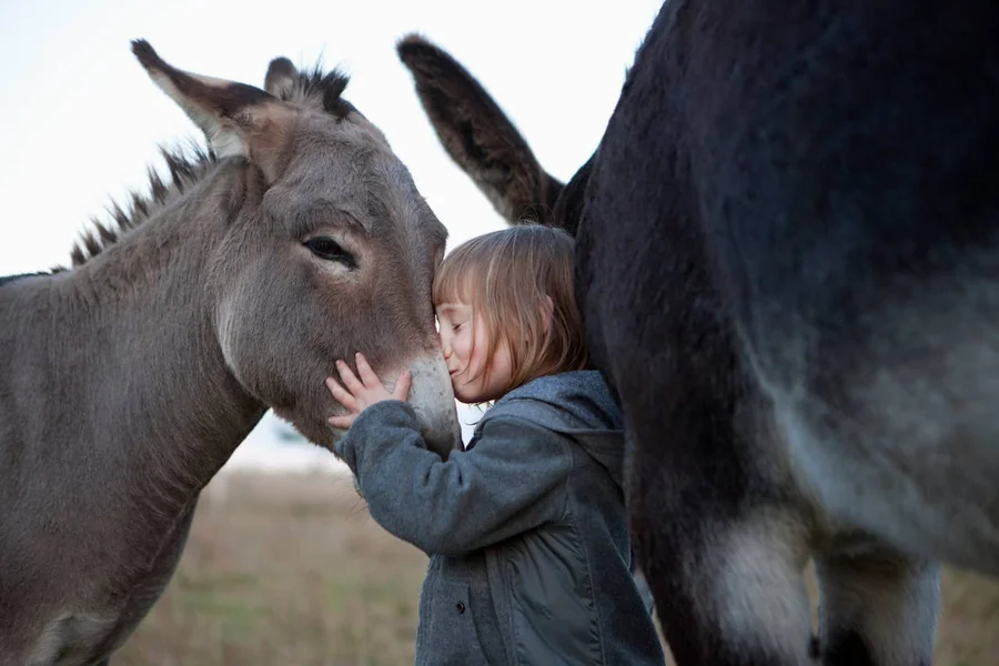 Donkey Female Name
